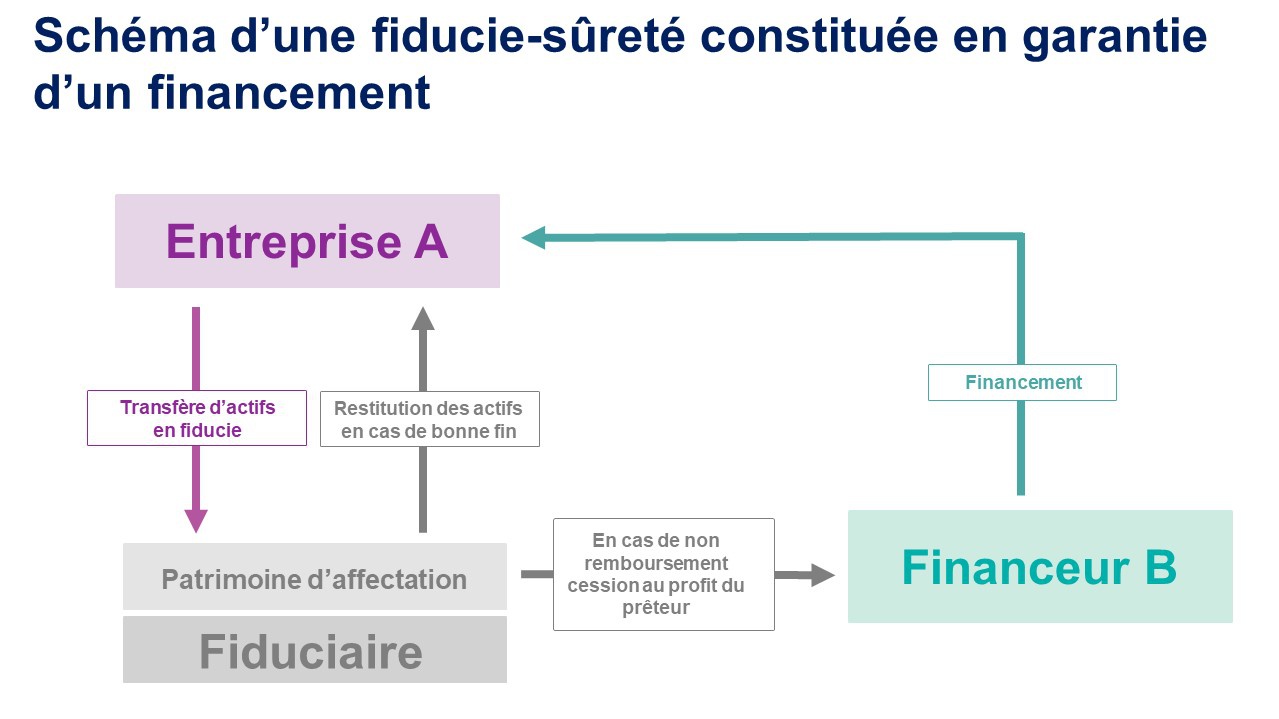 La Fiducie, Un Outil Méconnu Mais Précieux Pour Les Territoires ...