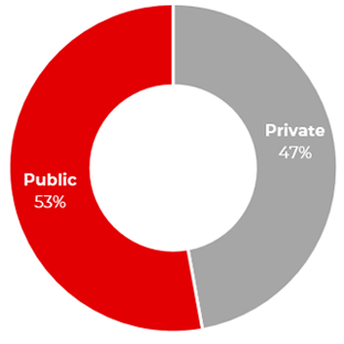 EMTN and NEUMTN debt breakdown by type of placement as of June 30th 2024